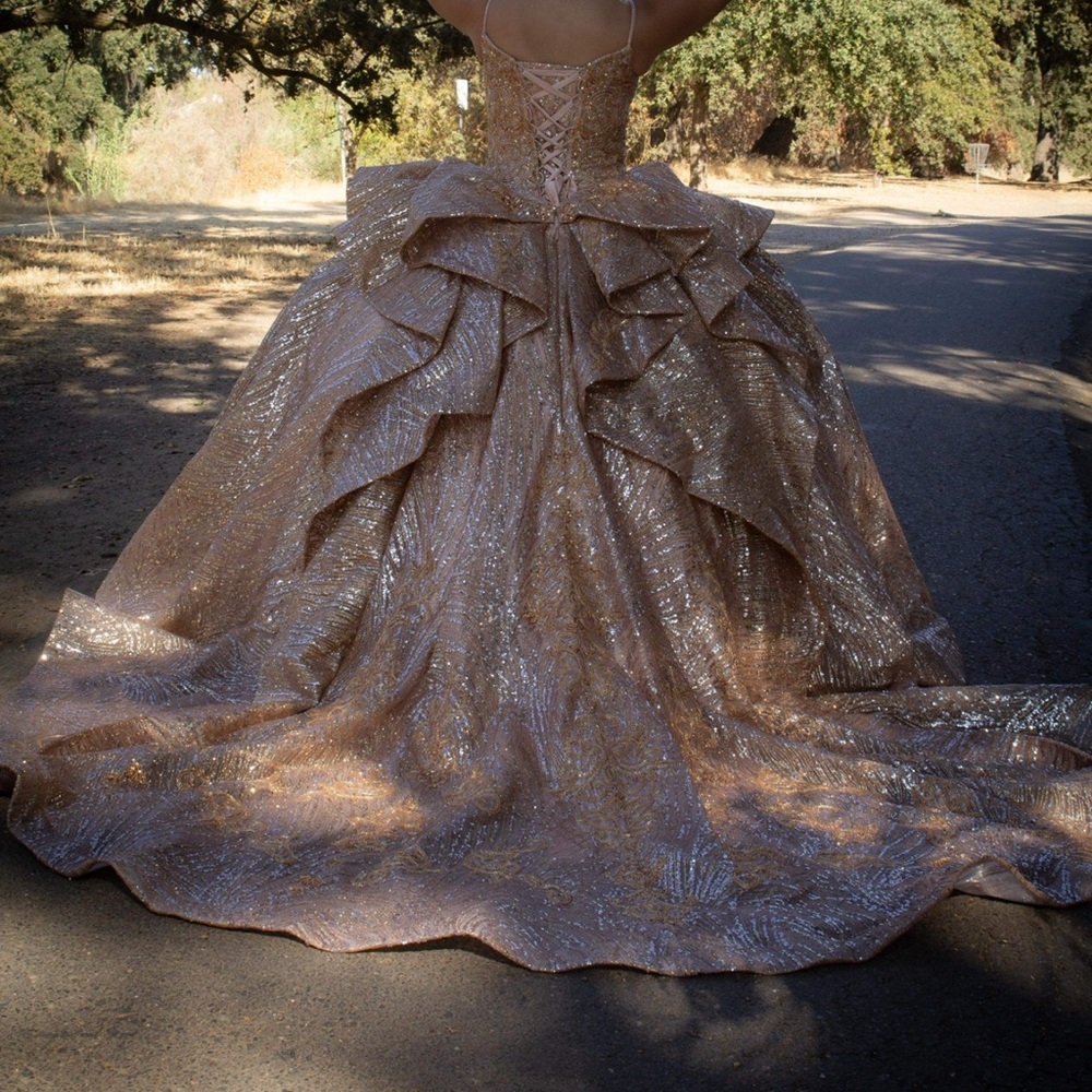 Elegant Rosegold Ball Gown for Quinceañera - Picture 4 of 6